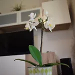 Villa Aegean Pearl *